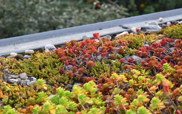the cost of Pitcaple green roof installation