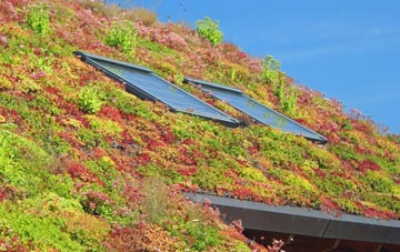 Pitcaple living roof systems